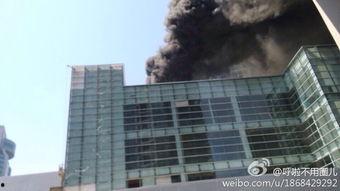 武昌特尼特最新爆料,最新爆料背后的惊人真相